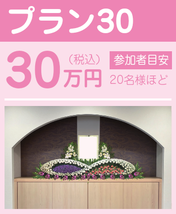 プラン30